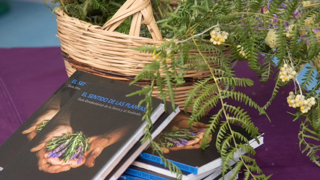 Sandfire MATSA, una década de compromiso con la educación ambiental en la comunidad escolar de su entorno próximo 3 reportaje educacion ambiental 3